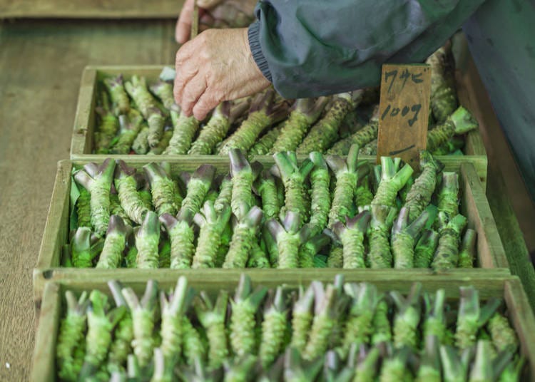 5. Real wasabi is expensive