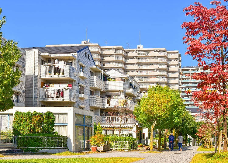 All About Apartment Search and Viewing