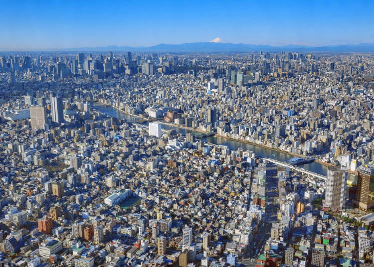 도쿄라는 도시의 매력은 무엇인가?