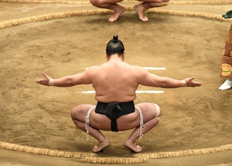 用眼睛看就好的「相撲」?
