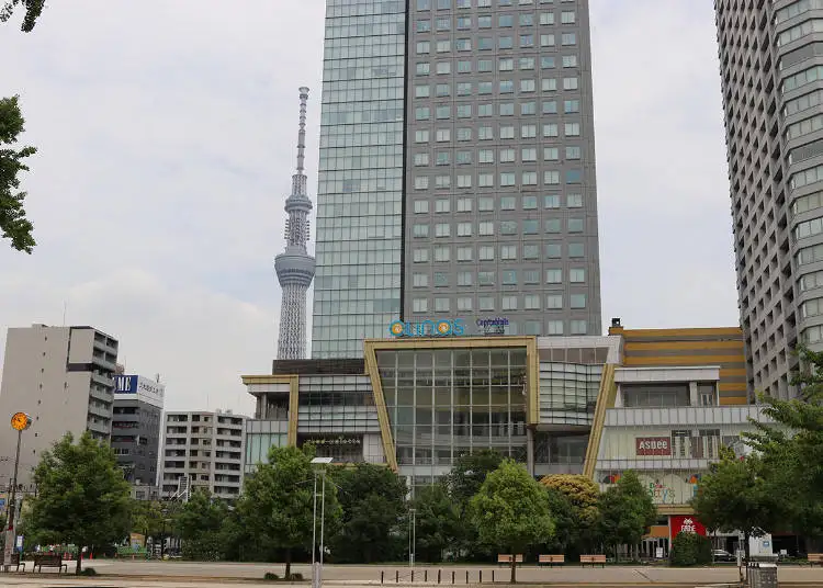 Top Things to Do in Kinshicho (Tokyo) – Plus Great Spots Nearby