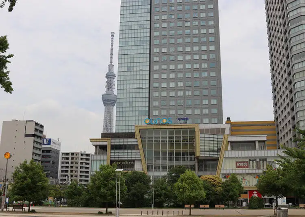 Top Things to Do in Kinshicho (Tokyo) – Plus Great Spots Nearby