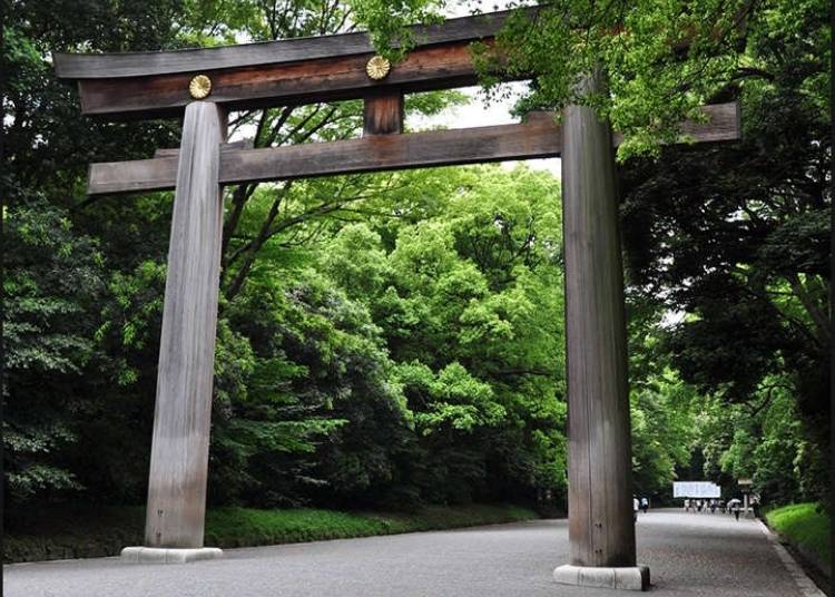 3. Visit Meiji Shrine