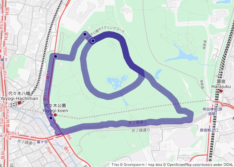 2. Western Tokyo: Yoyogi Park