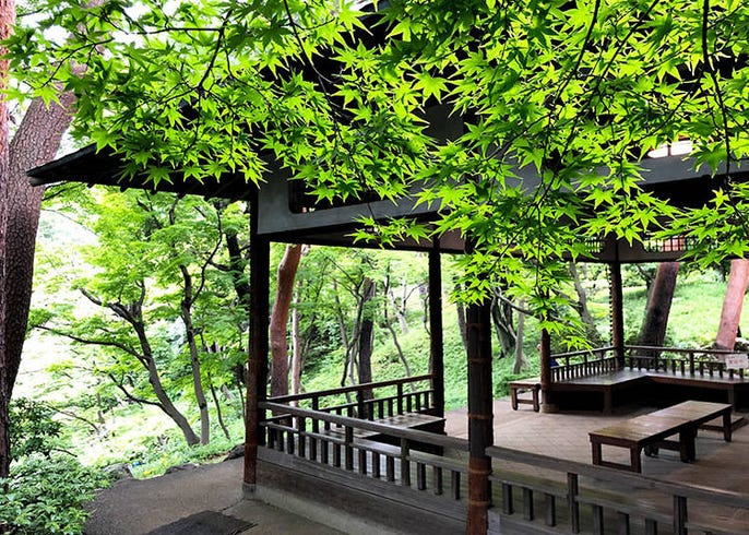 5 Bamboo Forests In Tokyo Must See Picture Perfect Spots Live Japan Travel Guide