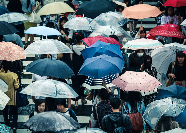 Harajuku Girl in The Rain w/ Clear Umbrella, Face Mask, Green Coat