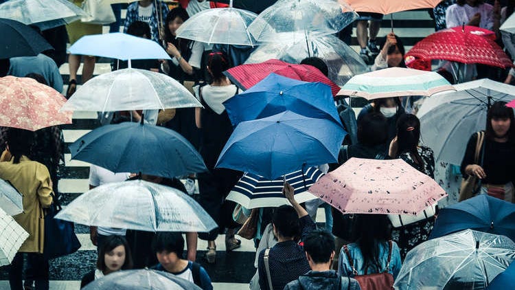 Complete Guide to Surviving Japan's Rainy Season 2025: What to Pack & More