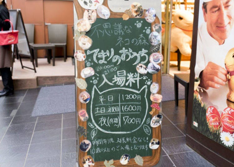 ▲The Temari no Ouchi sign on the first floor of the building and adorable pictures of cute cats.