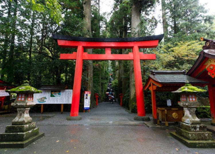 ▲ The Hakone Shrine is located past the fourth torii on the top of the stone stairway