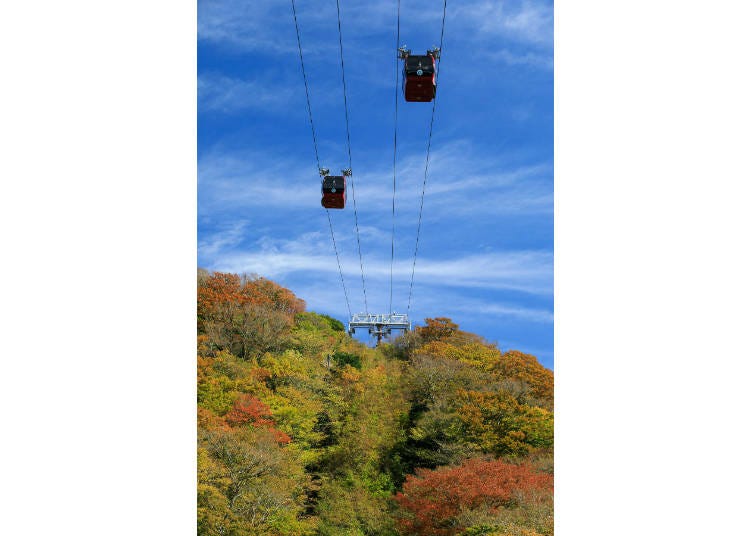 ▲ There is quite a view when you look up at the ropeway from Ubako Station