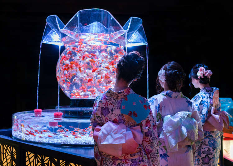 Art Aquarium 2019 Inside Tokyo S Incredible Living Exhibition