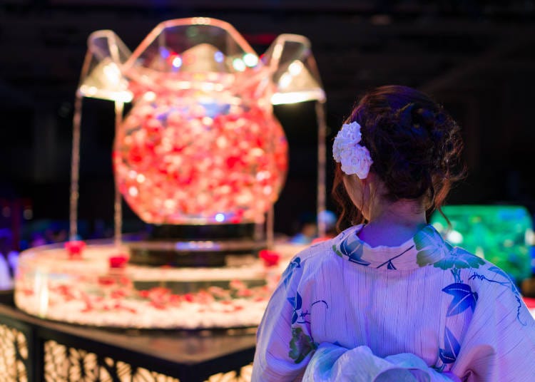 "Oiran": With more than 1,000 goldfish, this beautiful exhibit changes through seven colors