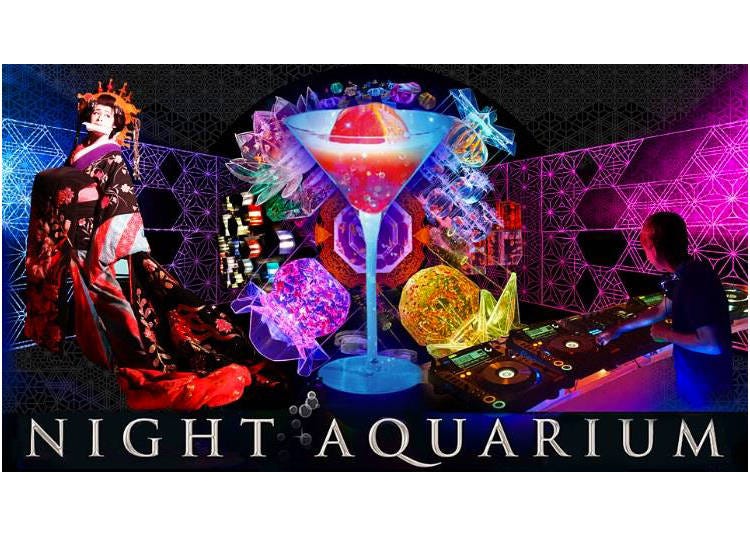 When the sun sets: Night Aquarium