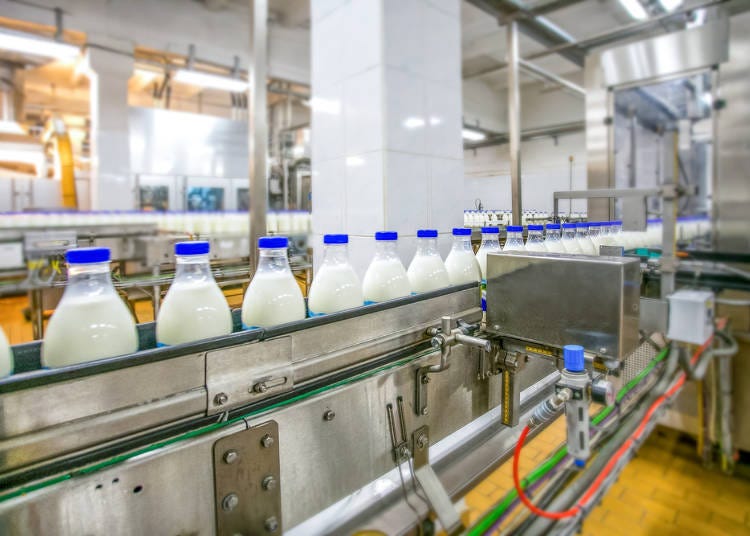 日本牛奶的基本知识②牛奶的制作过程