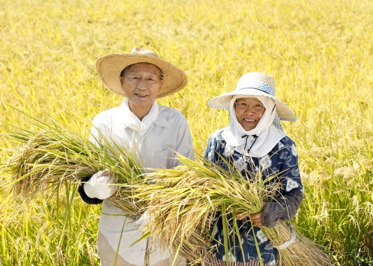 日本米好吃的祕密① 先知道日本米的產地在哪裡？