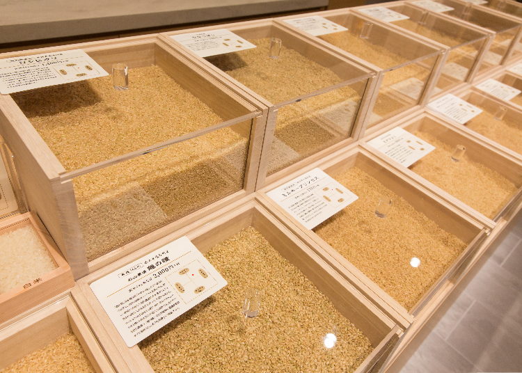 充滿專業氣氛的賣場，日本流行吃對美容與健康有益的玄米