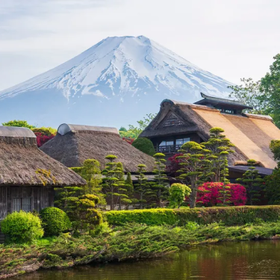 Mt. Fuji Arakurayama Park, Mt. Fuji 5th Station, Kawaguchiko Matcha Experience, and Oshino Hakkai
Photo: (Klook)