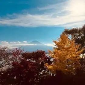 Mount Fuji Panoramic View & Shopping One Day Tour from Tokyo
Photo: (Klook)