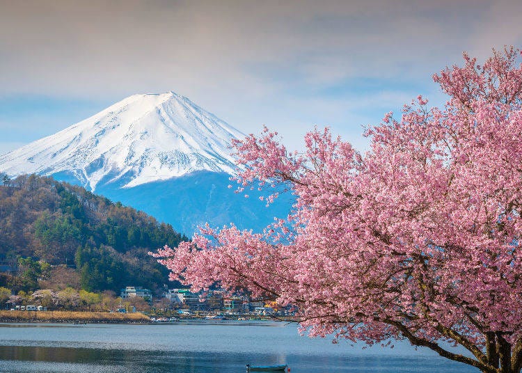 賞富士山的最佳時機大公開③平地天氣和賞富士山的關聯性
