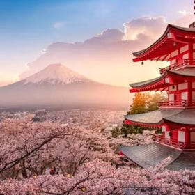 【專屬包車】日本東京市區、富士山包車一日游
(Image: KKday)