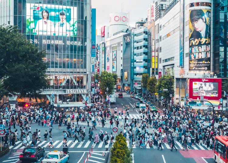 Lifestyle Travel Photo / Shutterstock.com