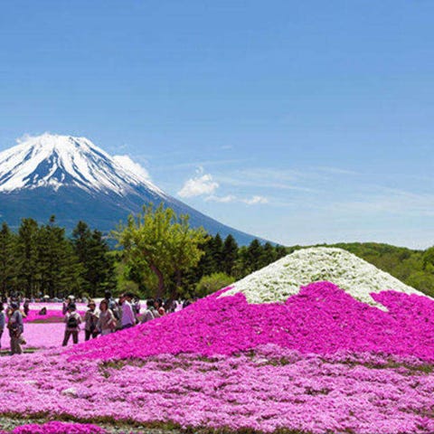 Mt Fuji Live Japan Japanese Travel Sightseeing And Experience Guide