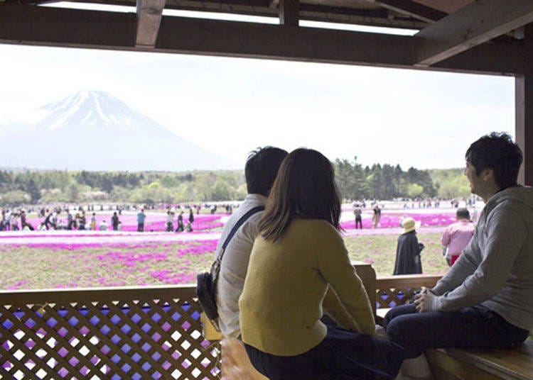 The view from the footbath, perfect for a break.