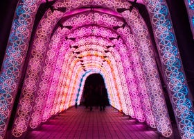 Check Out Tokyo's Top 9 Magical Winter Illuminations for 2021!