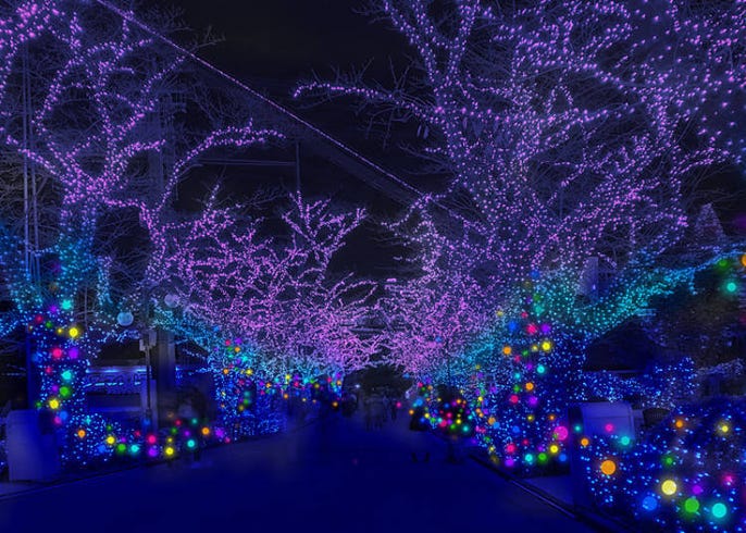 Check Out Tokyo S Top 9 Magical Winter Illuminations For 2020 Live Japan Travel Guide