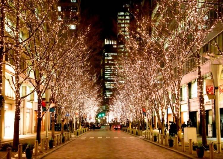 【丸之內燈飾2019】日本夜景遺産,璀璨、環保的聖誕燈飾