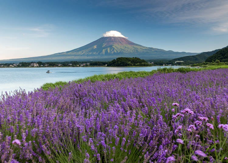 How to get to Mount Fuji - Kawaguchiko from Tokyo