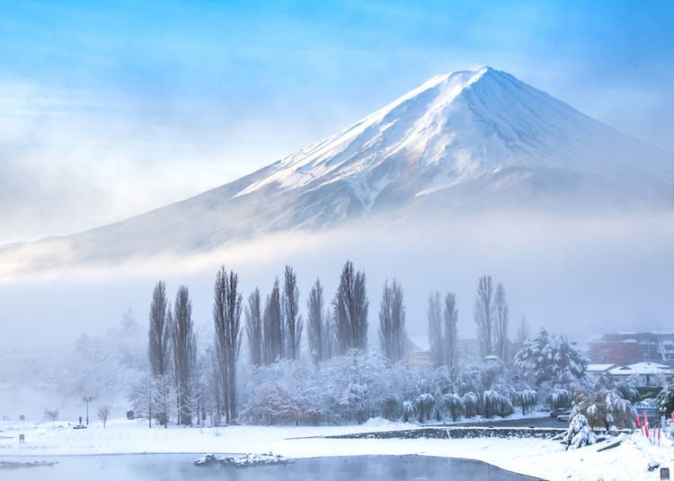 mt fuji tourist guide