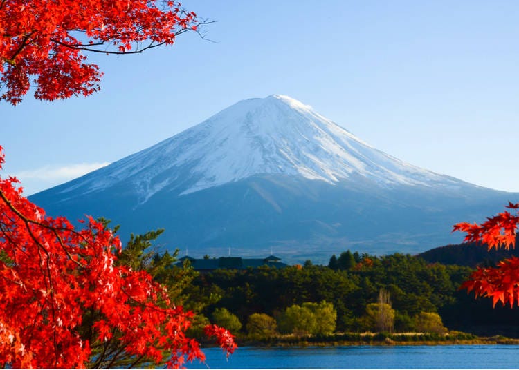 1. The Mount Fuji area (but don’t forget Shibuya too!)