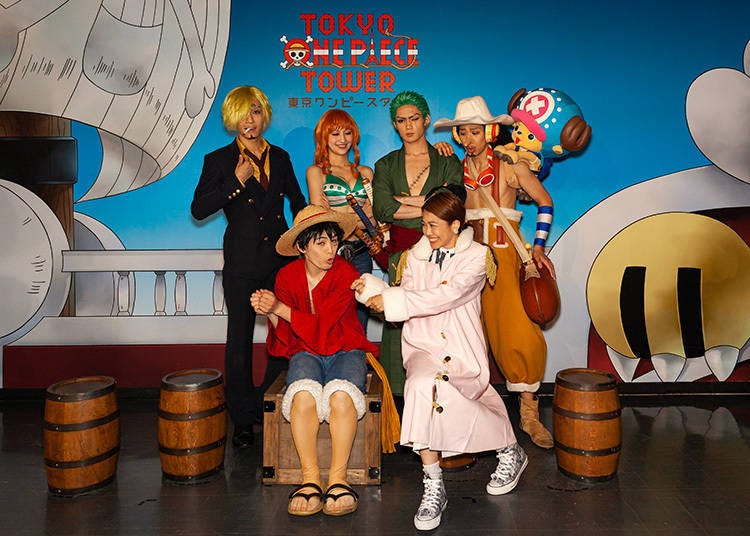 Photo Greeting: Rush to Get a Numbered Ticket for a Group Shot with the Straw Hat Pirates! (5F)