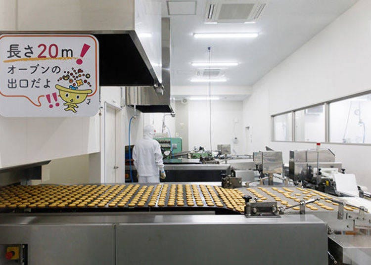 The baked cookies emerge row after row. During this step, they’re cooling down.