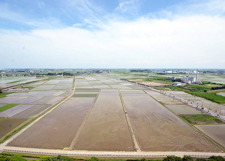 Image courtesy of Gyoda City Rice Paddy Art Information