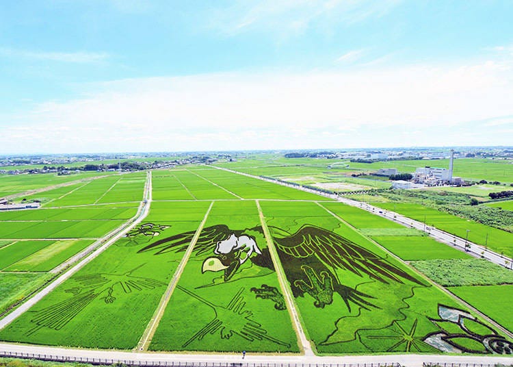 Image courtesy of Gyoda City Rice Paddy Art Information