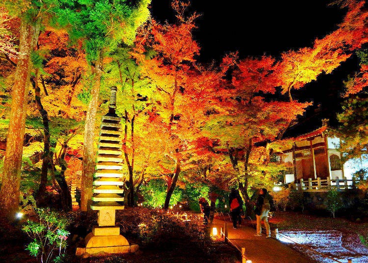 2. Chinzanso Garden (Mejiro, Tokyo)