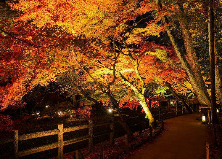 4. Hase-dera Temple (Kamakura, Kanagawa)