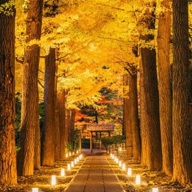 Otaguro Park