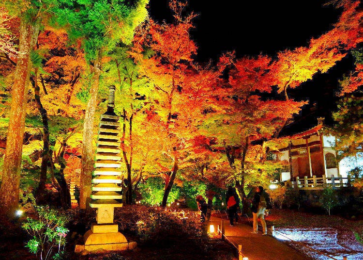 東京夜楓景點②椿山莊庭園（東京・目白）
