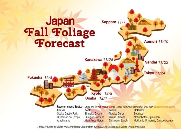 일본단풍시기 - 일본으로 단풍여행에 떠난다면 체크해보자! 2022년