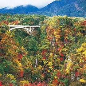 (Miyagi) Naruko Gorge's autumn leaves and walk around Ginzan Onsen
(Image: KKday)