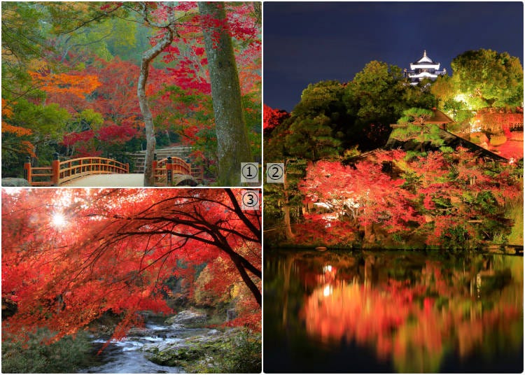 1-Miyajima; 2-Korakuen Garden; 3-Okutsu Valley (Photos: PIXTA)
