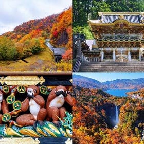 (Dep. Tokyo) Nikko Fall Leaves Viewing Day Tour with English Tour Guide
Details & Bookings ▶
(Image/Activity Partner: Klook)