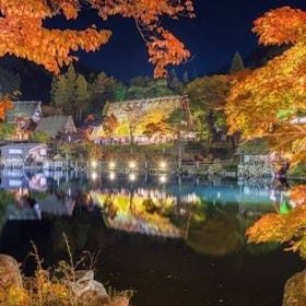 (Osaka) Shirakawago Stunning Autumn Colors 2-Day Bus Tour
Details & Bookings ▶
(Image/Activity Partner: Klook)