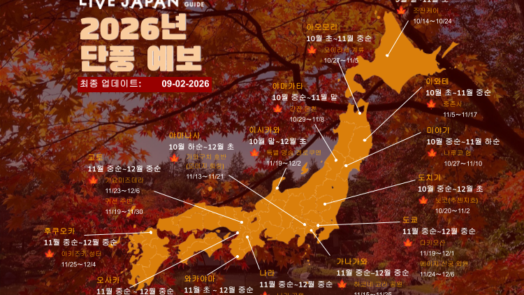 2026년 일본 단풍여행 완벽 가이드: 단풍 시기 예보와 명소 총정리 (+투어 정보)