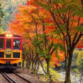 (Kyoto) Sagano Romantic Train One-Way Ticket
(Image: KKday)
