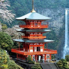 (Wakayama) World Heritage Kumano Ancient Road and Nachi Falls Day Tour
(Image: Klook)