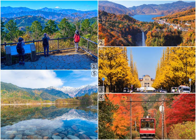 1-Mt. Takao; 2-Nikko (Lake Chuzenjiko); 3-Meijijingu Gaien; 4-Hakone; 5-Kamikochi (Photos: PIXTA)